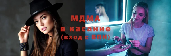 шишки Аркадак
