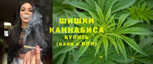 шишки Аркадак