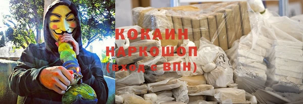 шишки Аркадак
