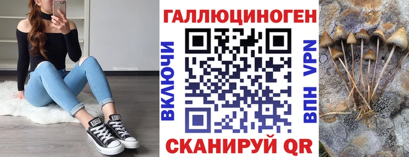 дарк нет формула  Сычёвка  Псилоцибиновые грибы Psilocybe 